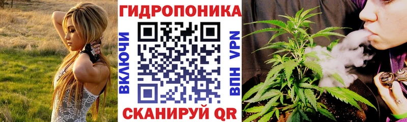Бошки Шишки AK-47  Касли 